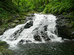 岐阜県イメージ写真：阿弥陀ヶ滝